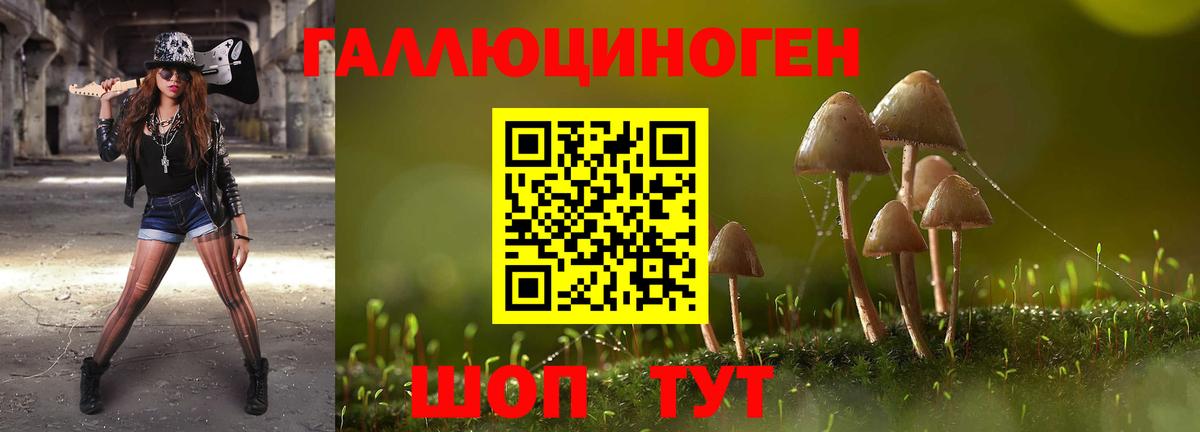 Псилоцибиновые грибы мицелий  Галлюциногенные грибы GOLDEN TEACHER  Кудымкар  Вход с VPN 